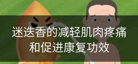 迷迭香的减轻肌肉疼痛和促进康复功效